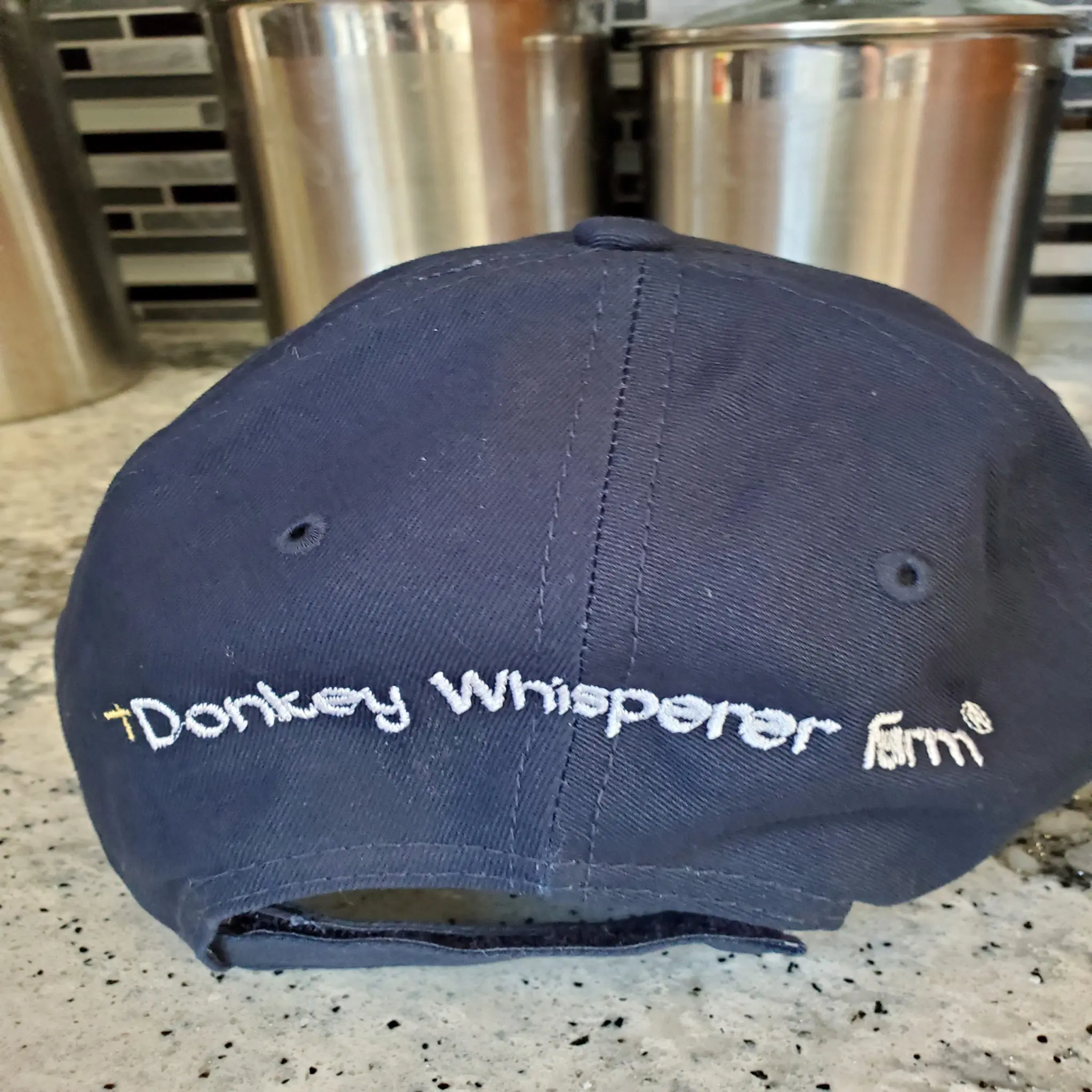 donkey hat