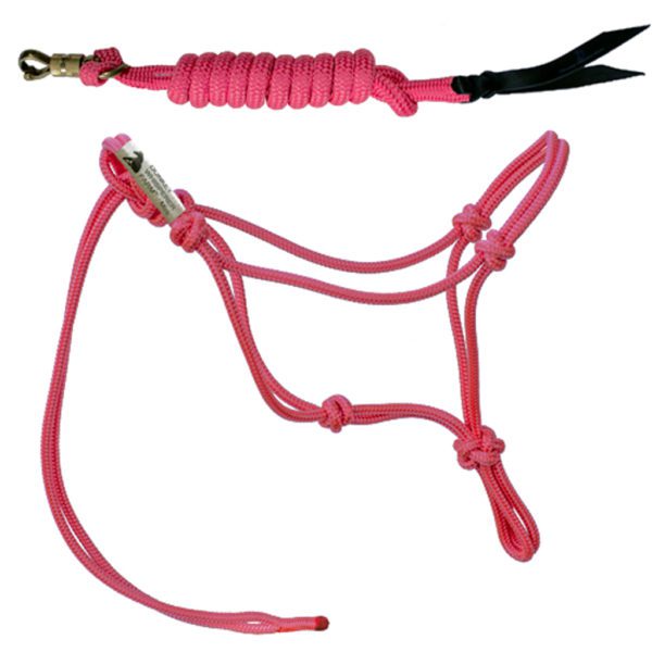 Miniature Donkey Halter Donkey Whisperer Farm