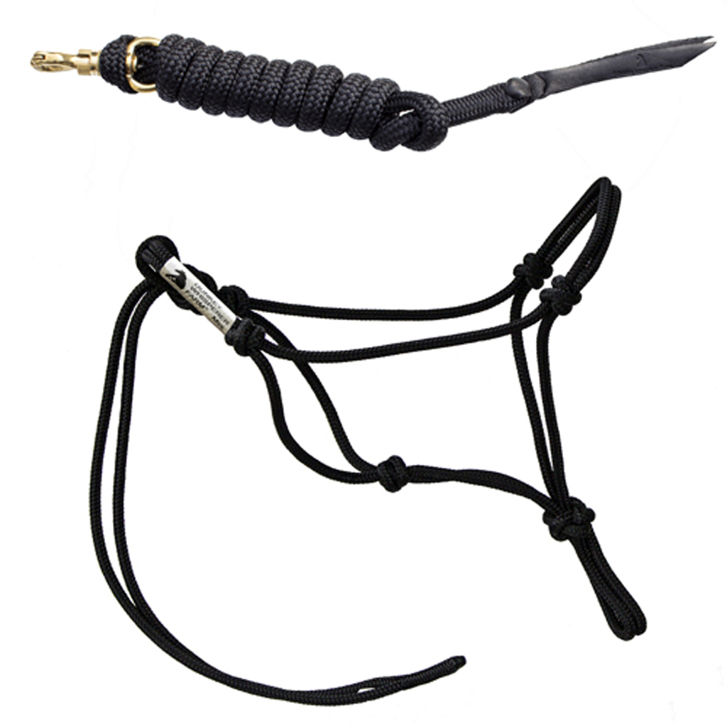 Miniature Donkey Halter Donkey Whisperer Farm