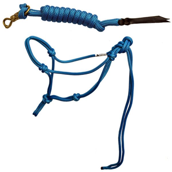 Miniature Donkey Halter Donkey Whisperer Farm