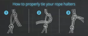how to tie a rope halter