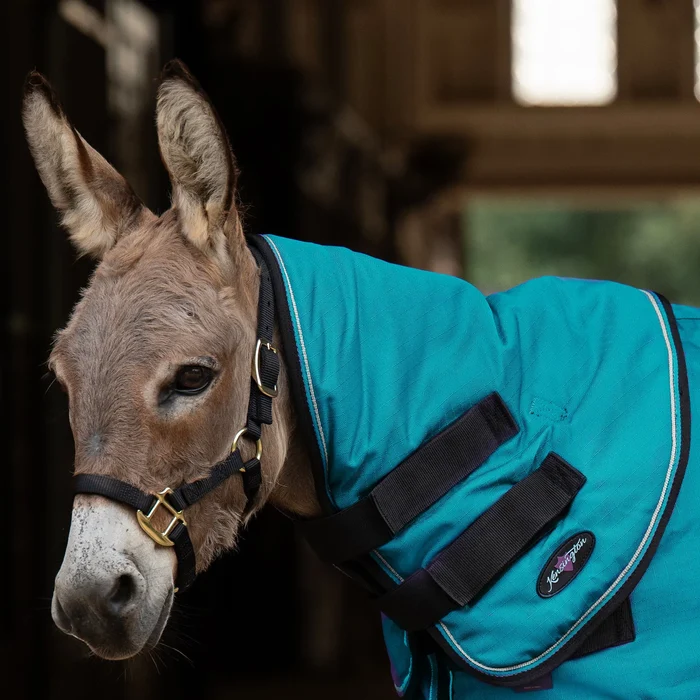 Miniature Donkey Neck Warmer