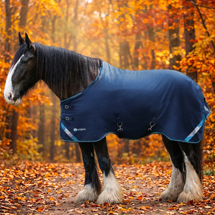 Draft Horse Blanket